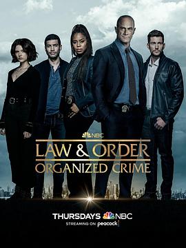 法律与秩序·组织犯罪第三季